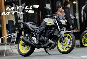 YAMAHA＜ヤマハ＞ MT-25/MT-3　２０１８年モデル新発売！