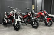 Benelli 【ベネリ】TNT125が入荷しました♪